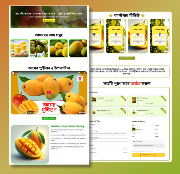 Mango Landing Page Json